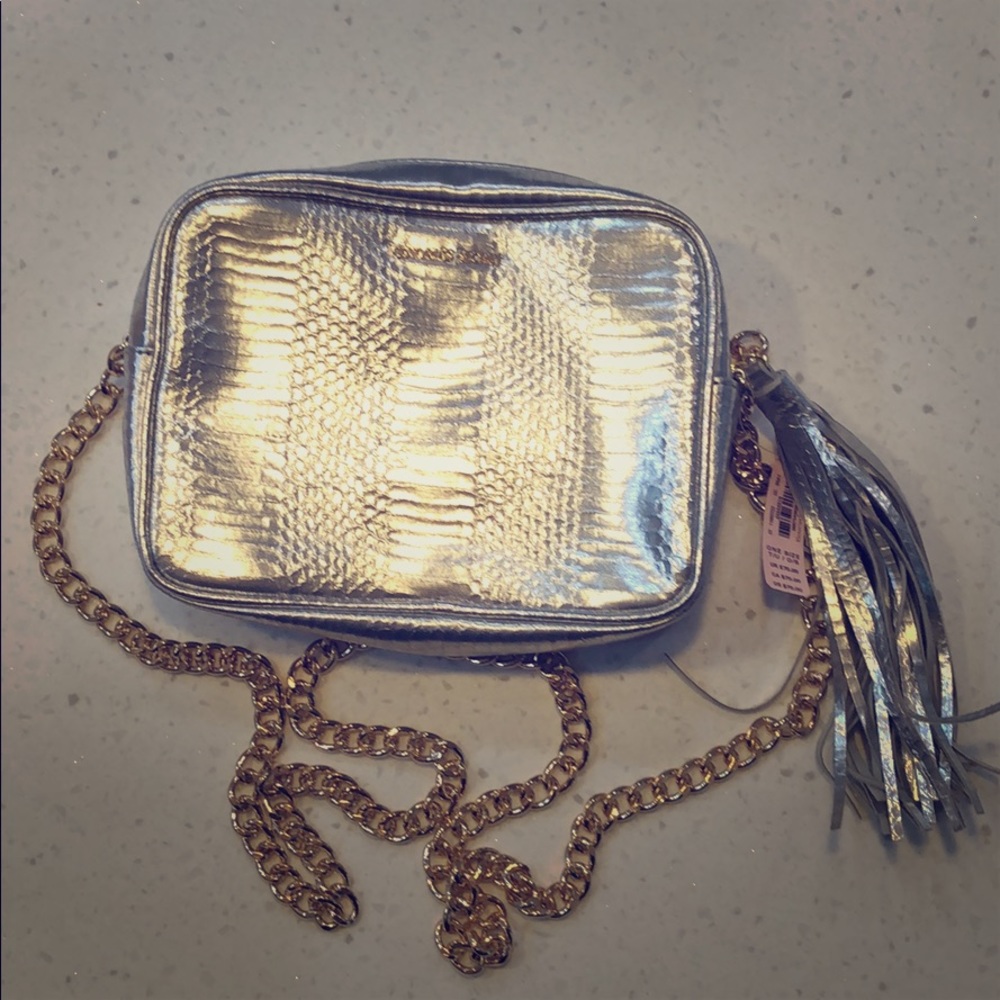 Victoria’s Secret silver iridescent purse NWT